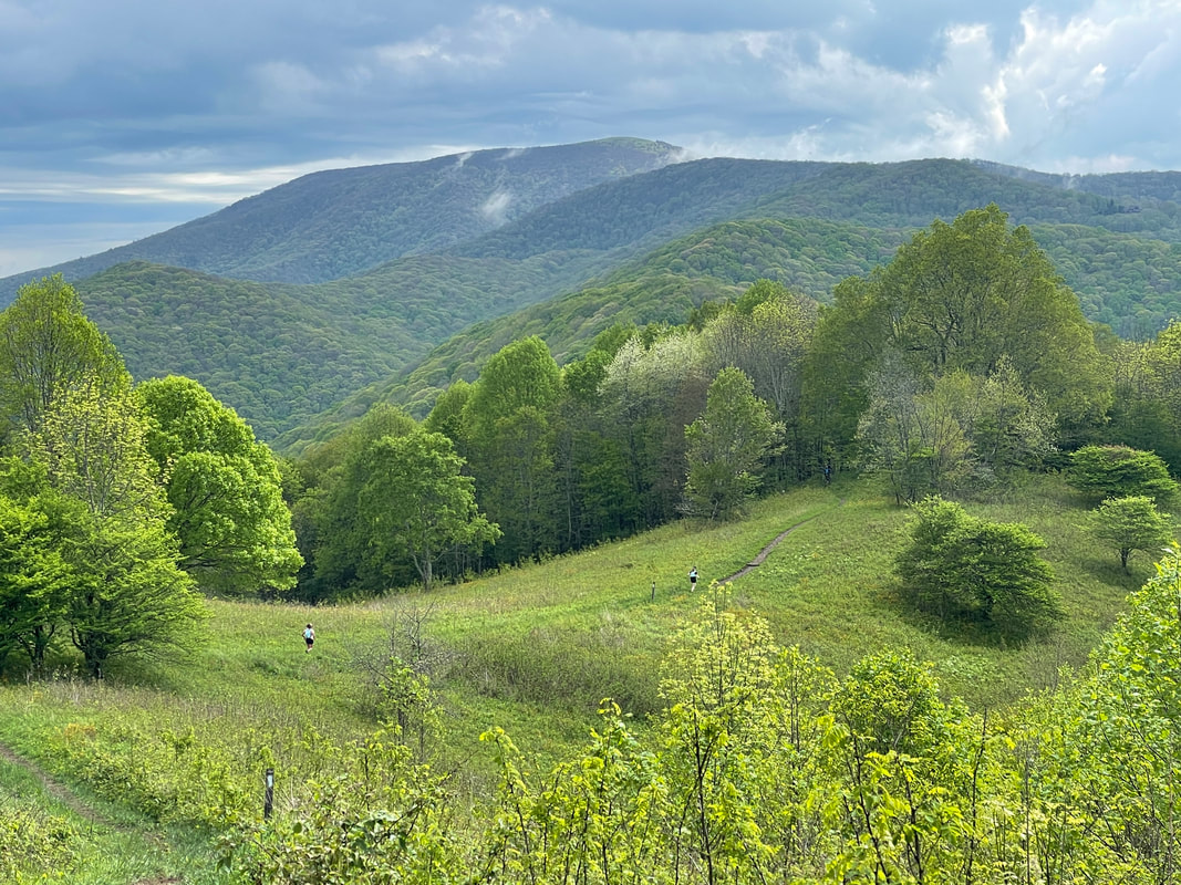 Scenic view over green rolling hills from Adventure Running Co's Appalachian trail running tour