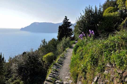 Scenic view a segment of the Cinque Terre Tour guided trail running experience